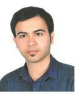 Behnam Tavakoli(Supervisor)
