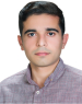 Amir Kamali