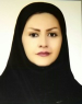 M. Asadi (2019)