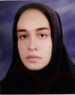 M. Zahed-Moein (2018)