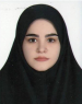 Z. Sharifi (MSc Student)