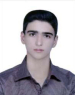 J. Mirjalili