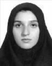 Niayesh S. Mousavi-Moein