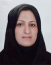 Seyedeh Narjes Hosseini