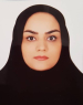 Somayeh Gholamnejad