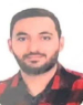 Amir Hossein Hamidi