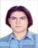 پیمان حاج حیدری (کارشناسی ارشد)