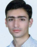 Y. Amini