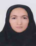 Fatemeh Arabsalehi