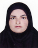 Robabah Abasi (MSc)