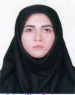 Seyede Fateme Mousavi (MS)
