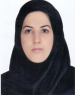 فائزه فولادگر 