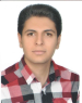 رضا لطفی