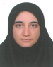 نجمه بیرژندی